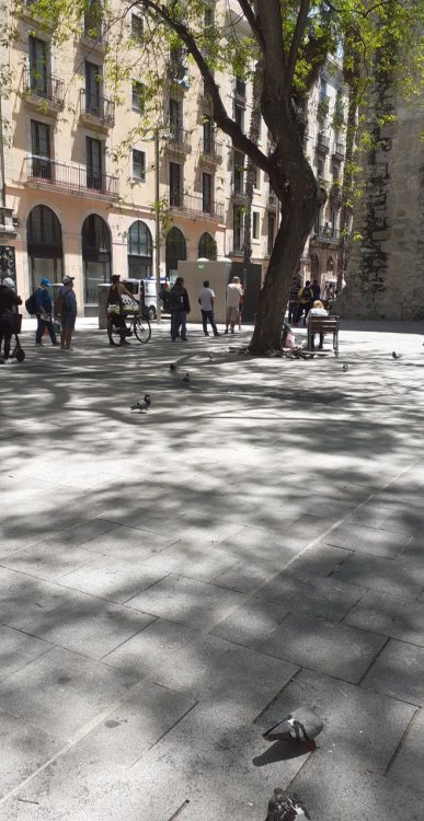 98331772_2578003162448440_1256646974849941504_n.jpg?_nc_cat=109&_nc_sid=b96e70&_nc_ohc=MZvUIZmJNIEAX-yPx-U&_nc_ht=scontent-ams4-1.xx&oh=20e155edcf02b03332dc4144b4b912e1&oe=5EF62CF5