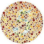 Afbeeldingsresultaat voor color blind test
