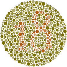 Afbeeldingsresultaat voor color blind test