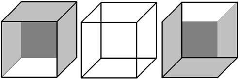Afbeeldingsresultaat voor necker cube