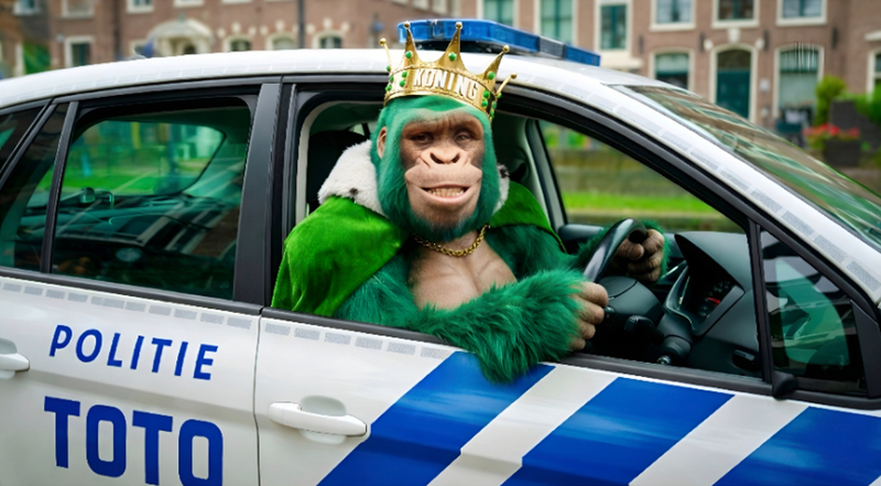 toto politie